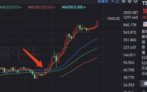 史诗级的超级买点 血赚的特斯拉