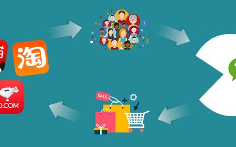 对主流电商平台，以及想做电商的平台的点评