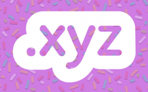 新后缀域名.xyz女王“Swetha”的域名投资暴富故事