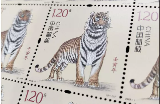 虎年邮票发行（2022虎年邮票发行），虎年邮票开始发行